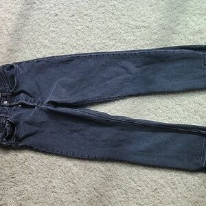 Denim Forum Arlo Higj Rise Straight Womens Size 30